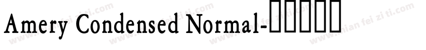 Amery Condensed Normal字体转换